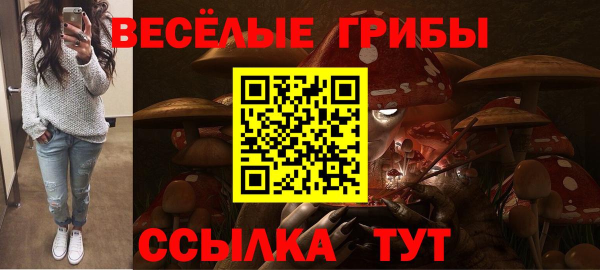 Обнинск  Псилоцибиновые грибы Psilocybe  Вход с VPN  Псилоцибиновые грибы Magic Shrooms 