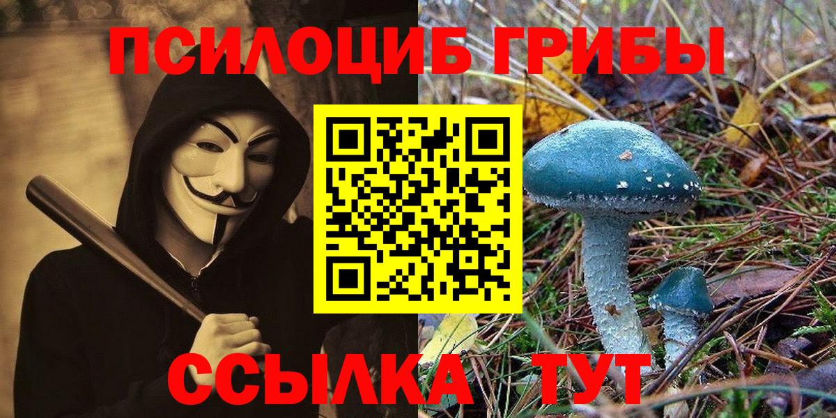Псилоцибиновые грибы Psilocybe Обнинск